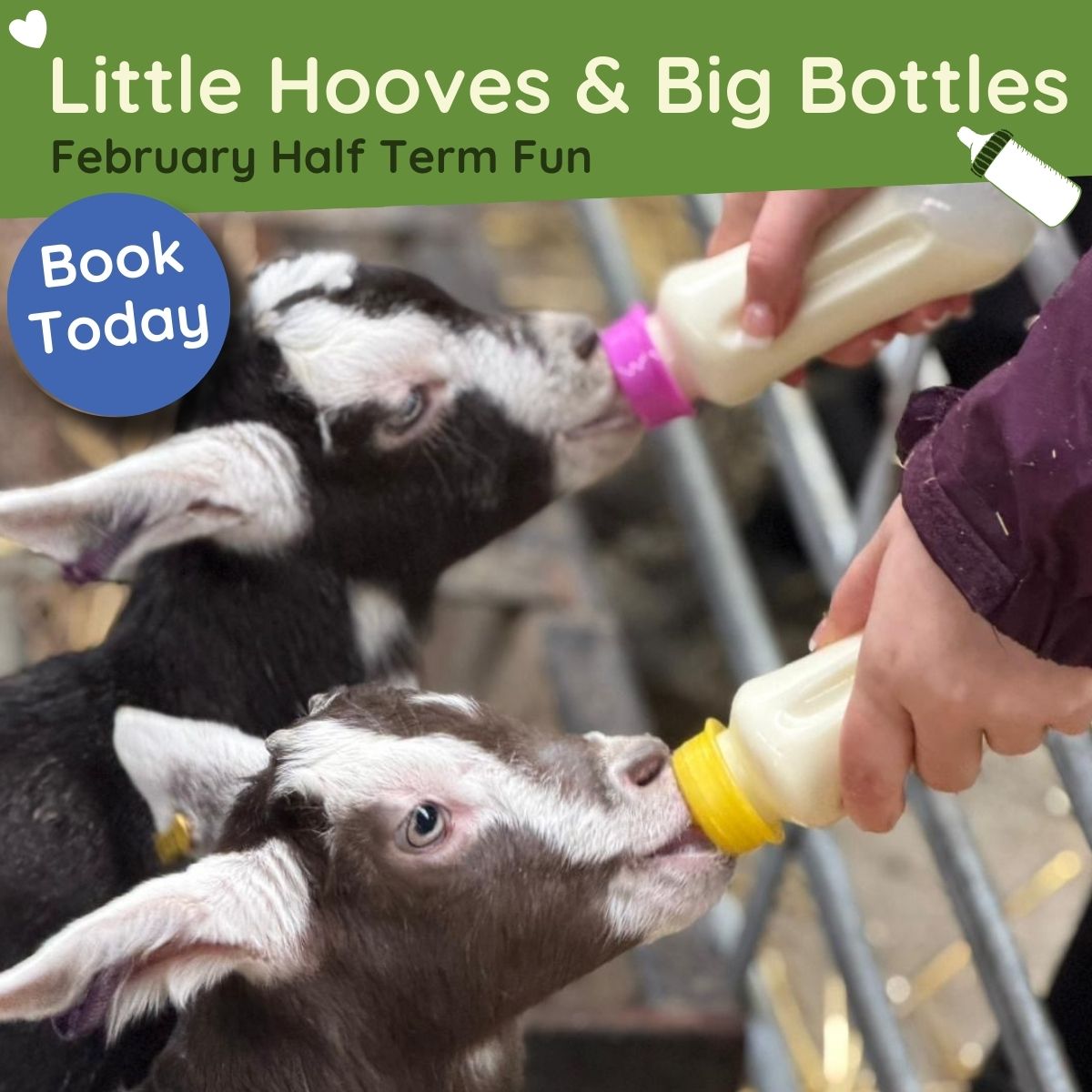 February Half Term Fun